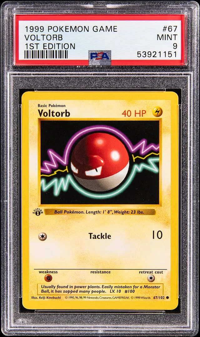 1999 Base Set Voltorb #67 Unlisted card image