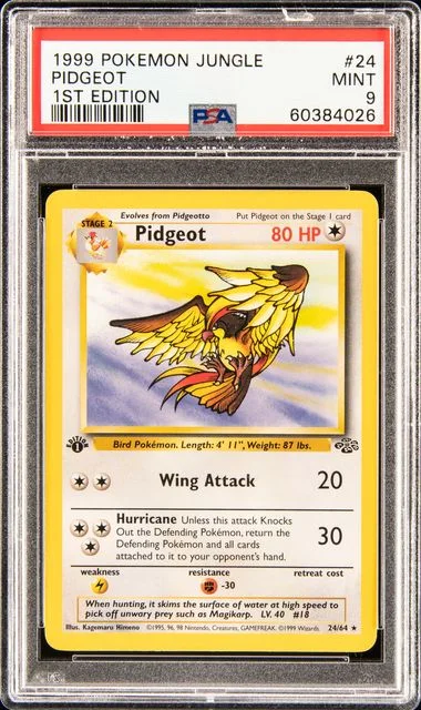 1999 Pokemon Jungle 1st Edition Pidgeot #24 card image