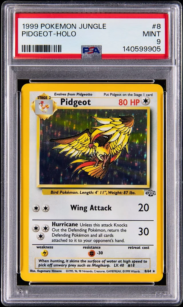 1999 Pokemon Jungle Holo Pidgeot #8 card image