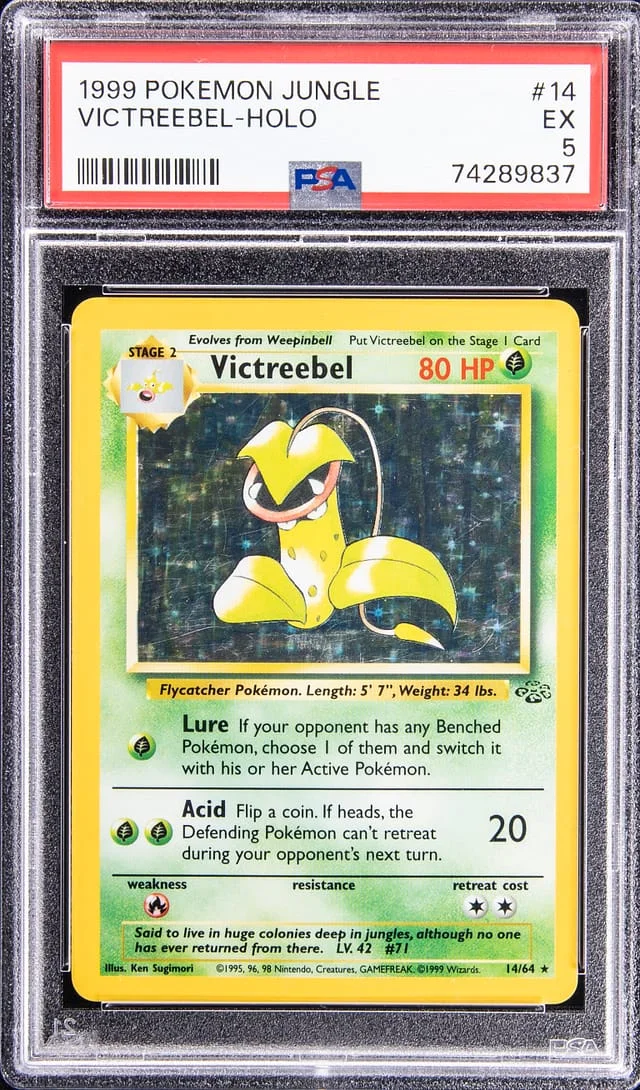 1999 Pokemon Jungle Holofoil Victreebel #14 card image