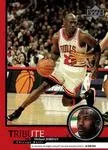 1999 Upper Deck Tribute to Michael Jordan Michael Jordan #23 card image