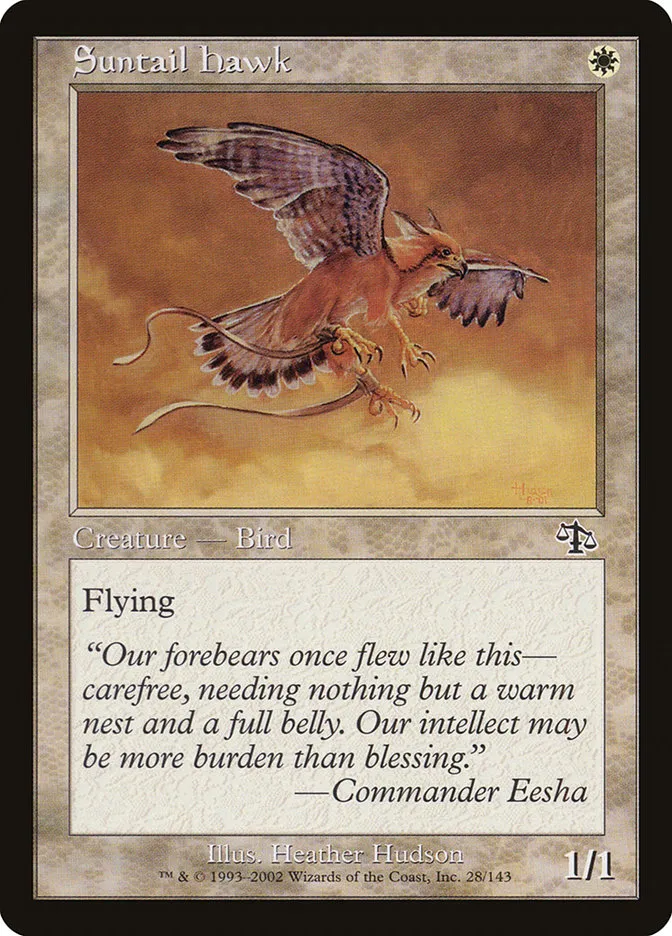 2002 Judgment Suntail Hawk common #28 unlisted card image