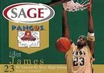 2002 SAGE Lebron James Pangos #1 card image