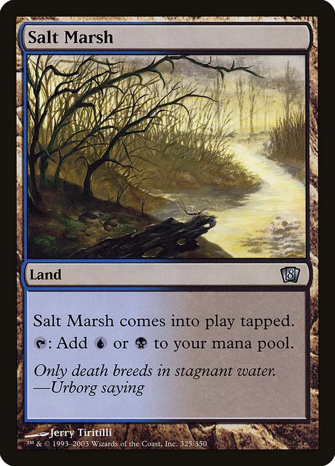 2003 Eighth Edition Salt Marsh #325★ uncommon card image