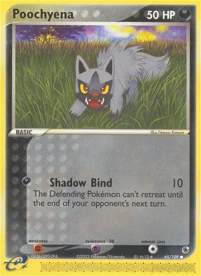 2003 Ruby & Sapphire Poochyena Common #063/109 Common card image