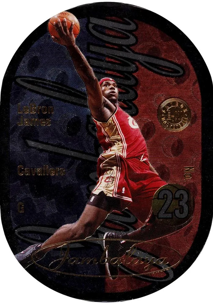 2004-05 SkyBox E-XL Lebron James Jambalaya #9 card image