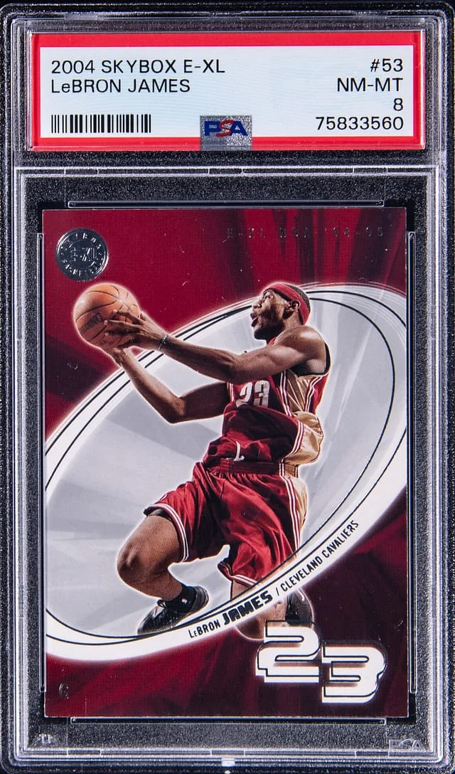 2004-05 SkyBox LeBron James E-XL #53 card image