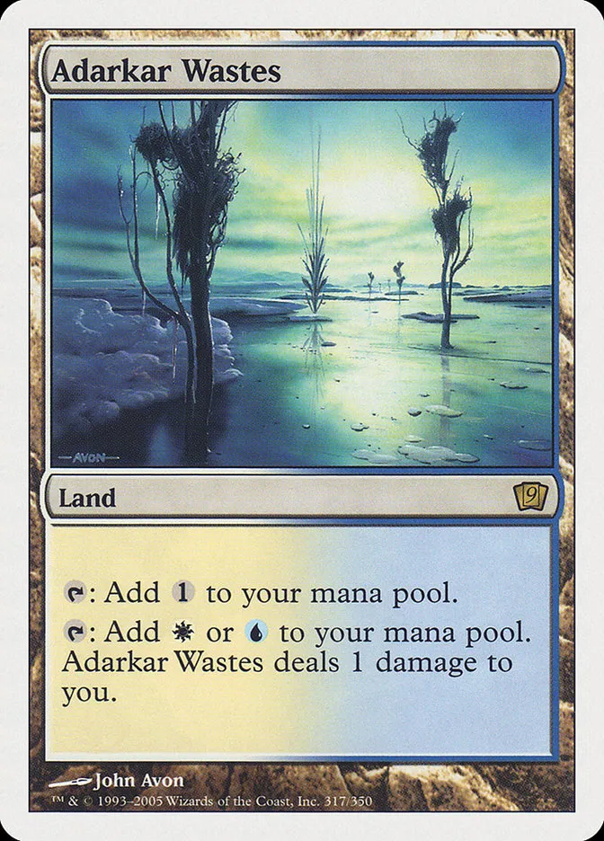 2005 Ninth Edition Adarkar Wastes #317 rare card image