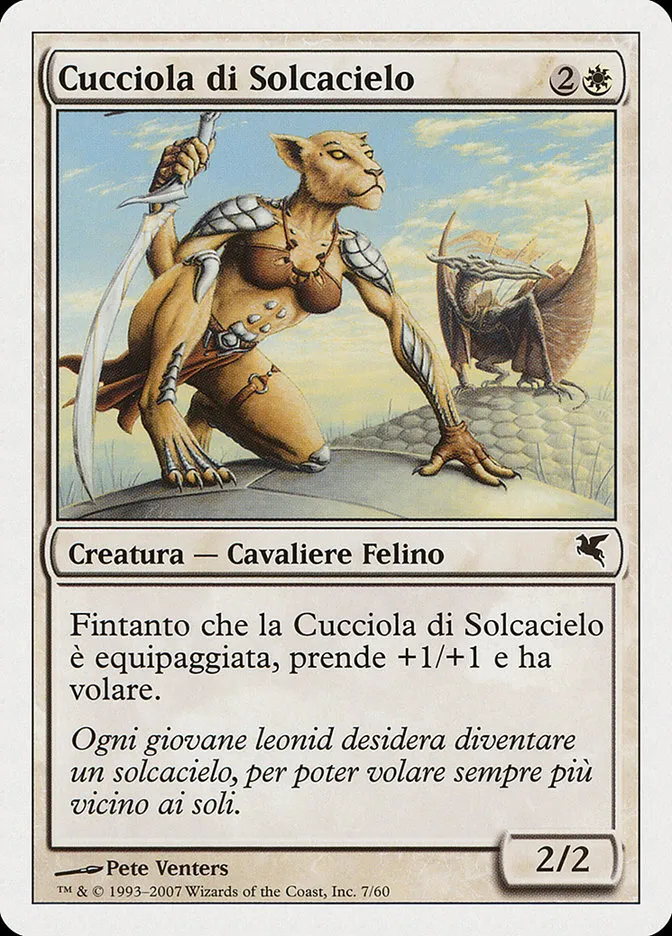 2005 Salvat 2005 Skyhunter Cub #L7 common card image