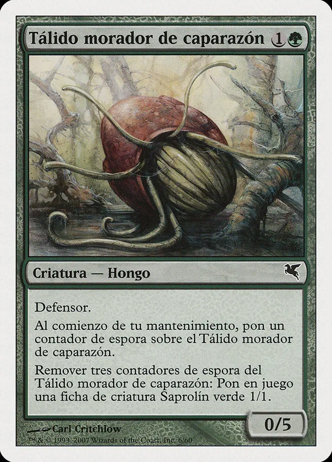 2005 Salvat 2005 Thallid Shell-Dweller common #J6 common card image