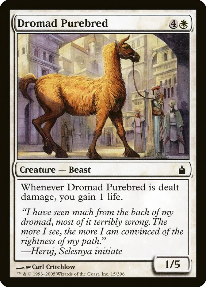 2005 Ravnica: City of Guilds Dromad Purebred common #15 common card image