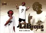 2006-07 Upper Deck Lebron James The LeBrons #LBJ-5 card image