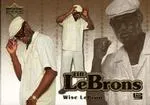 2006-07 Upper Deck Lebron James The LeBrons #LBJ-7 card image