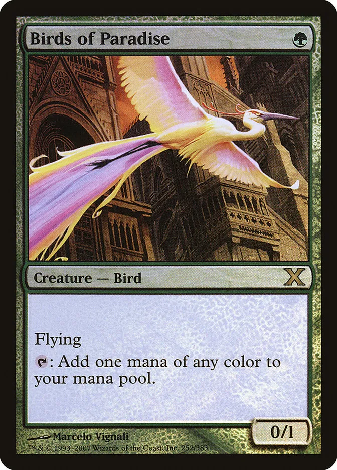 2007 Tenth Edition Birds of Paradise #252★ rare card image
