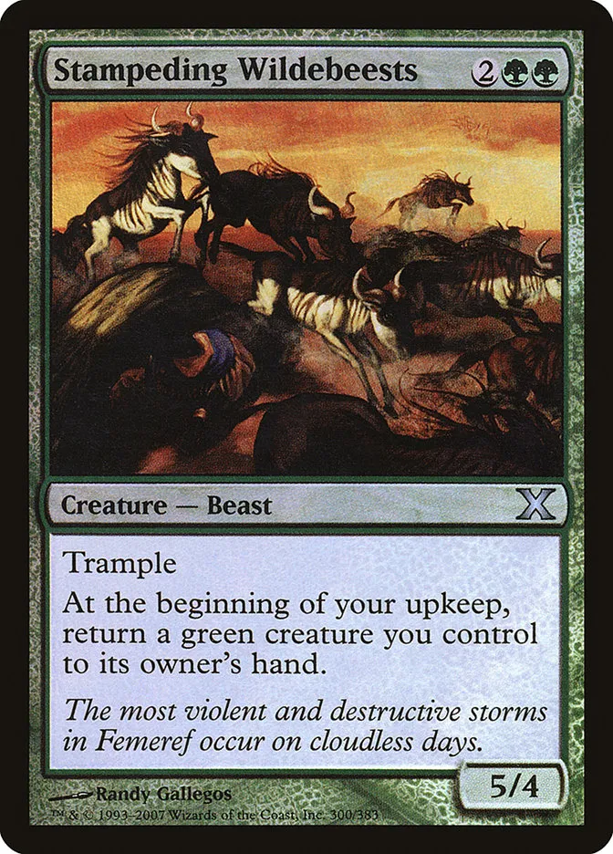 2007 Tenth Edition Stampeding Wildebeests #300★ uncommon card image