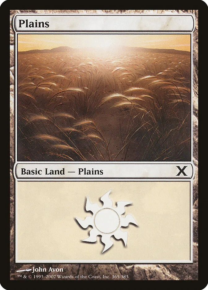 2007 Tenth Edition Plains common #365 common card image