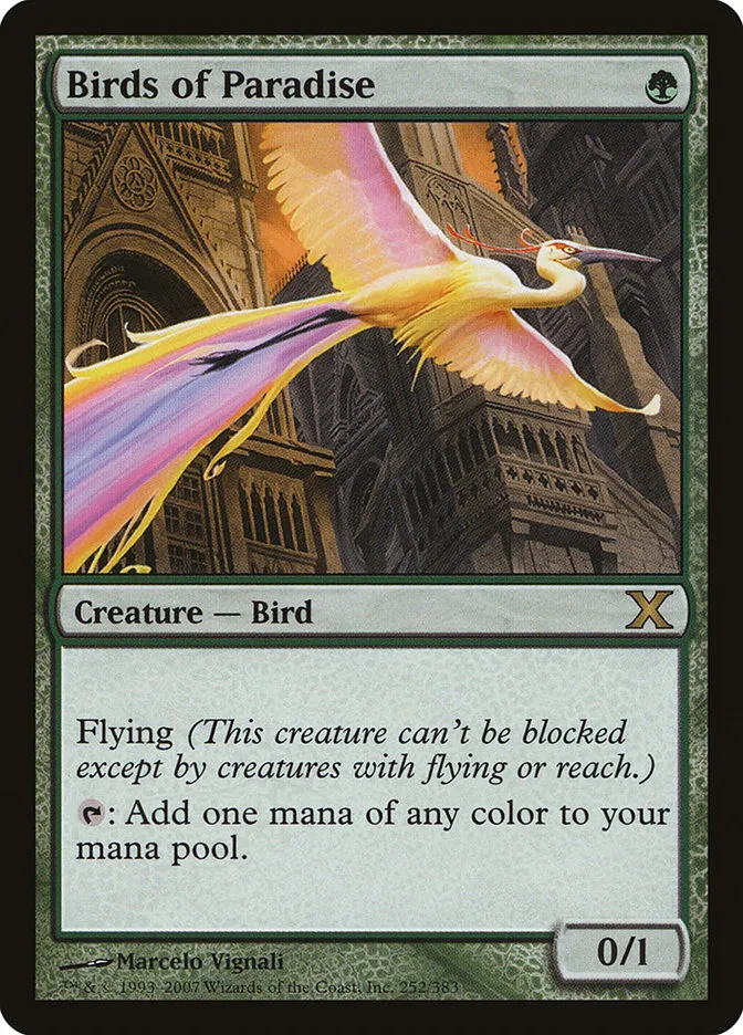 2007 Tenth Edition Birds of Paradise #252 rare card image