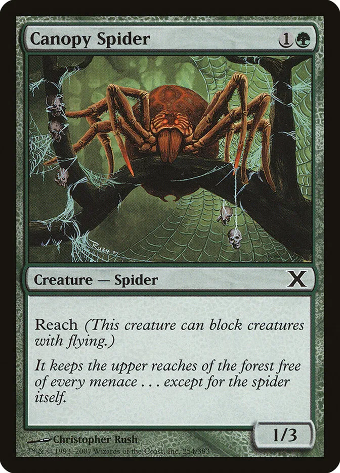 2007 Tenth Edition Canopy Spider common #254 common card image