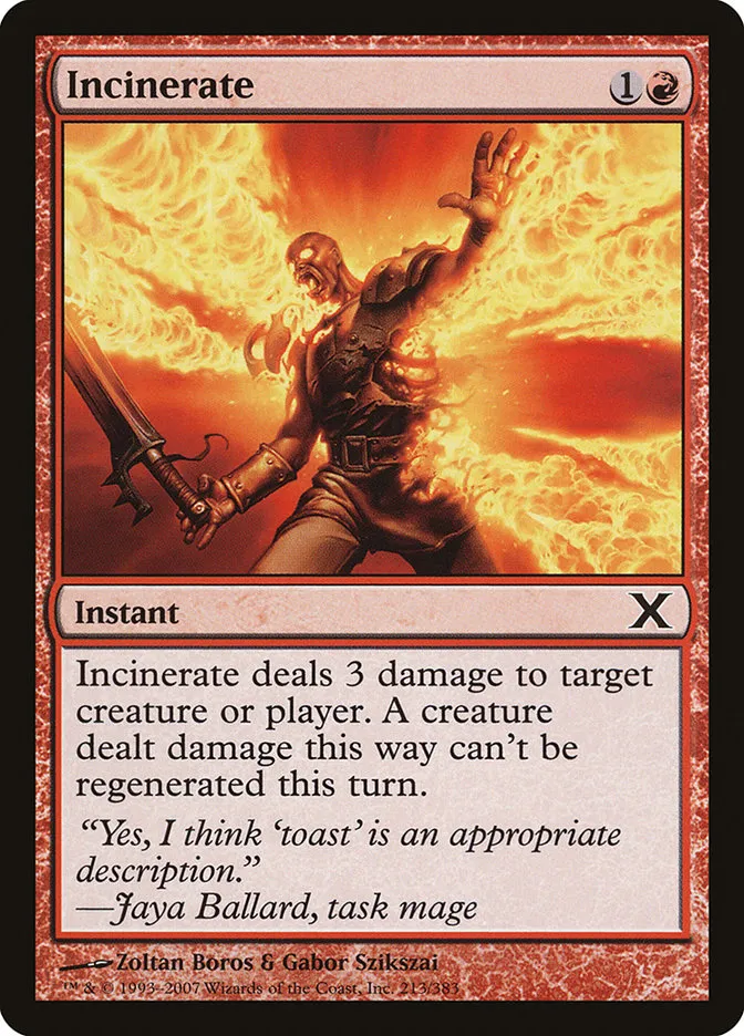2007 Tenth Edition Incinerate common #213 common card image