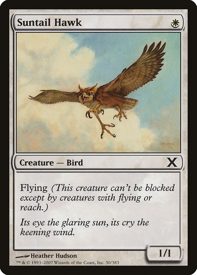 2007 Tenth Edition Suntail Hawk common #50 common card image