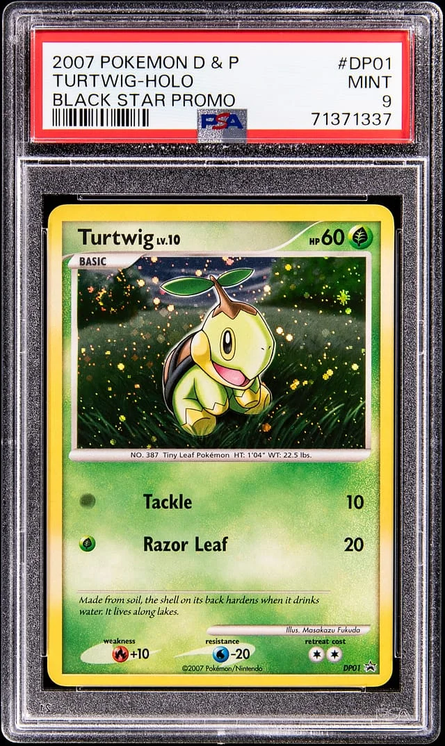 2007 Pokemon Diamond & Pearl Black Star Promo Holo Turtwig #DP01 card image