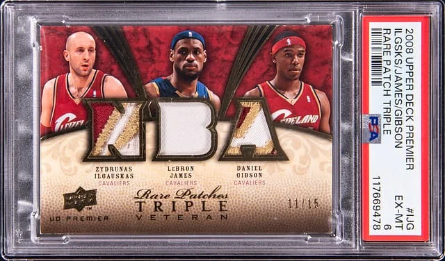 2008-09 Upper Deck Premier LeBron James/Zydrunas Igauskas/Daniel Gibson Rare Patch Triple #RPT-IJG card image