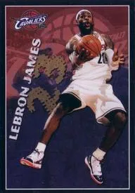 2009-10 Panini NBA Stickers (Argentina) Lebron James #376 card image