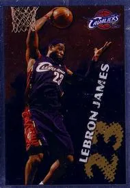 2009-10 Panini NBA Stickers (Argentina) Lebron James #378 card image