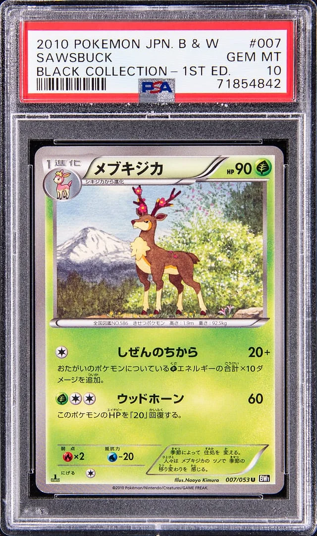 2010 Pokemon Japanese Black & White Black Collection 1st Edition Sawsbuck #007 card image