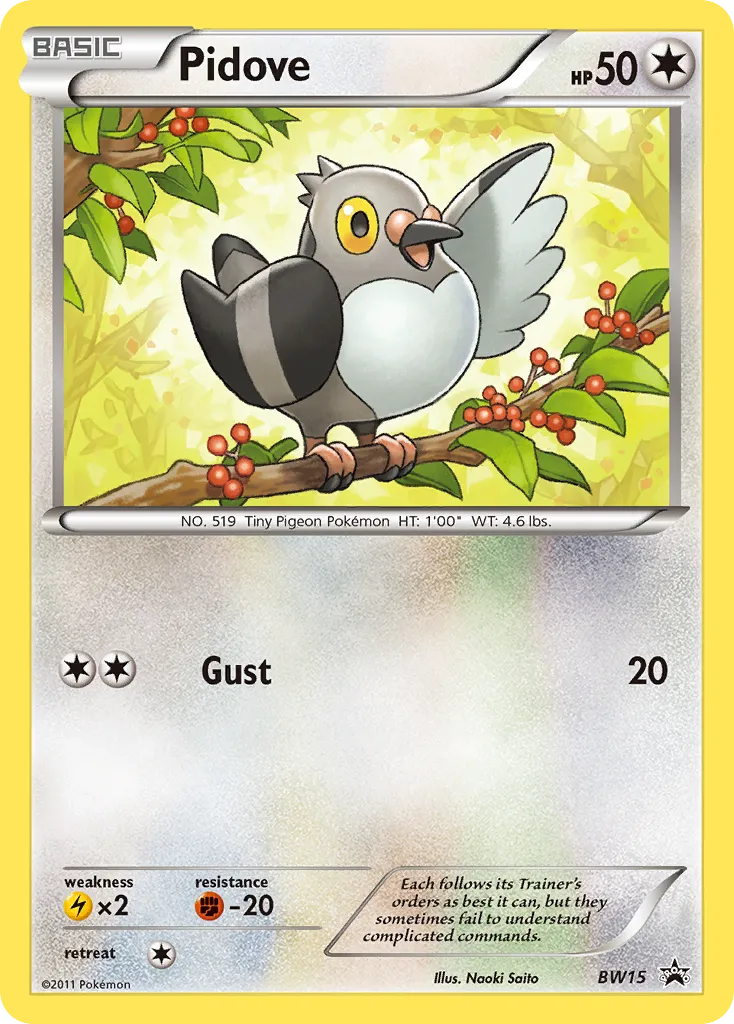 2011 BW Black Star Promos Pidove Promo #BW15 Promo card image