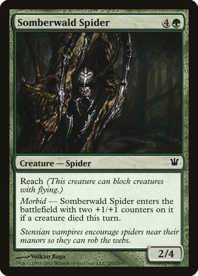 2011 Innistrad Somberwald Spider common #202 common card image