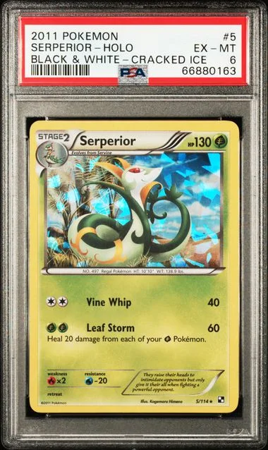 2011 Pokemon Black & White Cracked Ice Serperior-Holo #5 card image