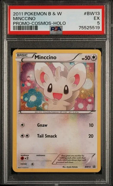2011 Pokemon Black & White Promo Cosmos Holofoil Minccino #BW13 card image