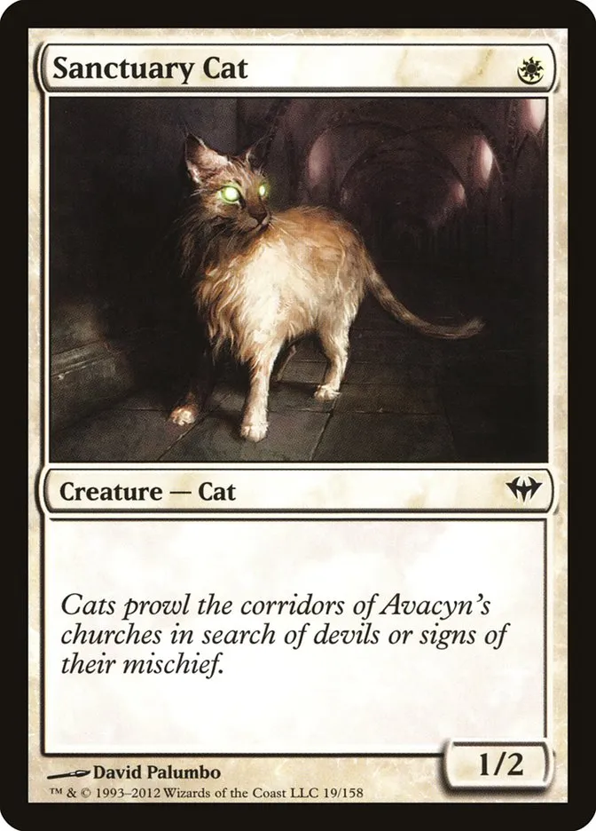 2012 Dark Ascension Sanctuary Cat common #19 unlisted card image