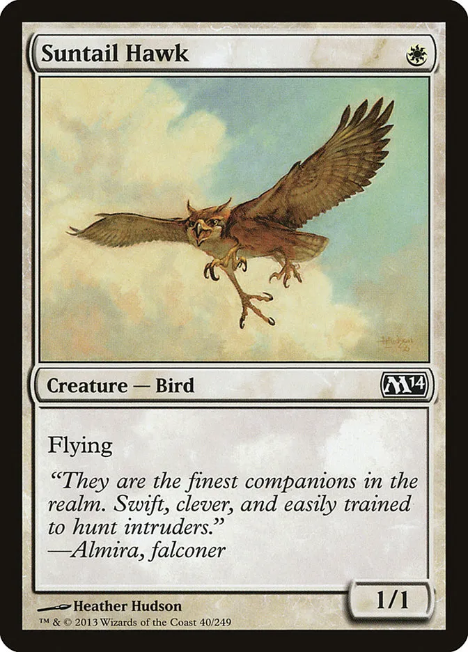 2013 Magic 2014 Suntail Hawk common #40 common card image