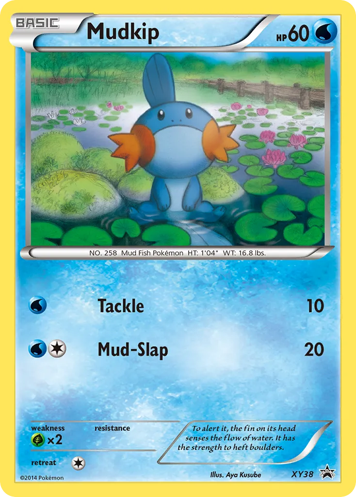 2013 XY Black Star Promos Mudkip #XY38 card image