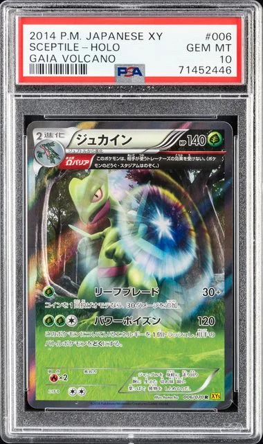 2014 Pokemon Japanese Xy Gaia Volcano Sceptile-Holo #006 card image