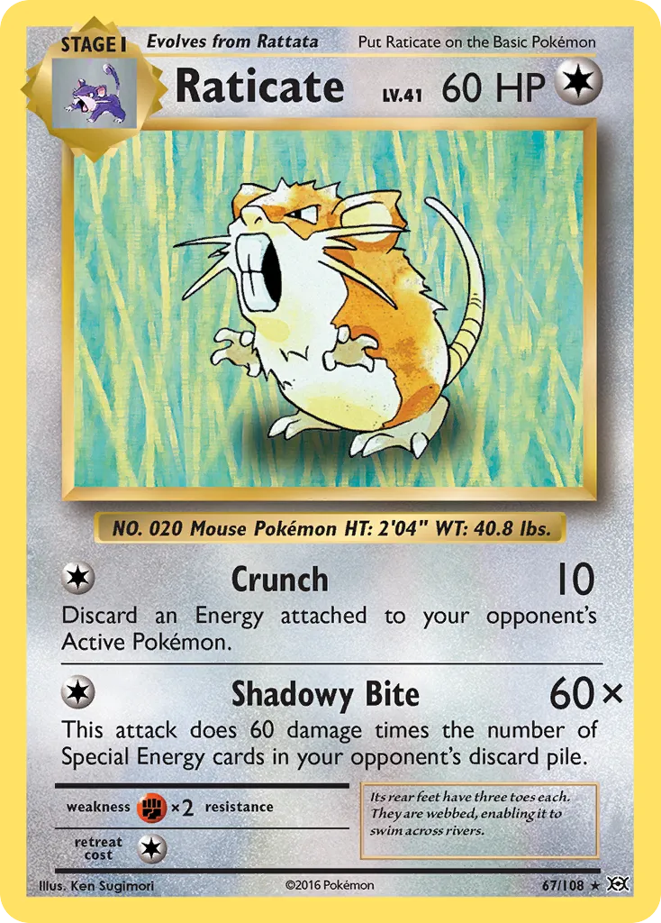 2016 Evolutions Raticate Rare #067/108 Rare card image