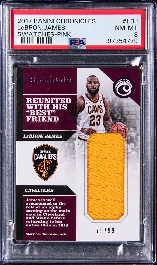 2017-18 Panini Chronicles LeBron James Swatches Pink #CS-LBJ card image