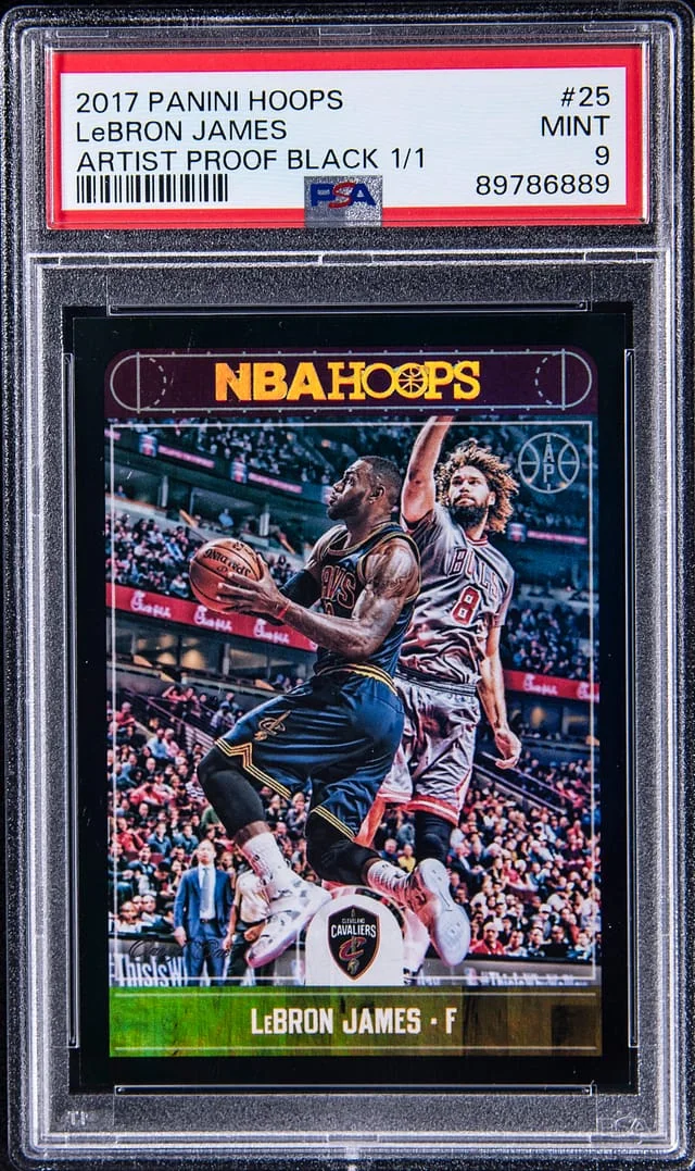 2017-18 Panini LeBron James NBA Hoops Artist Proof Black #25 card image