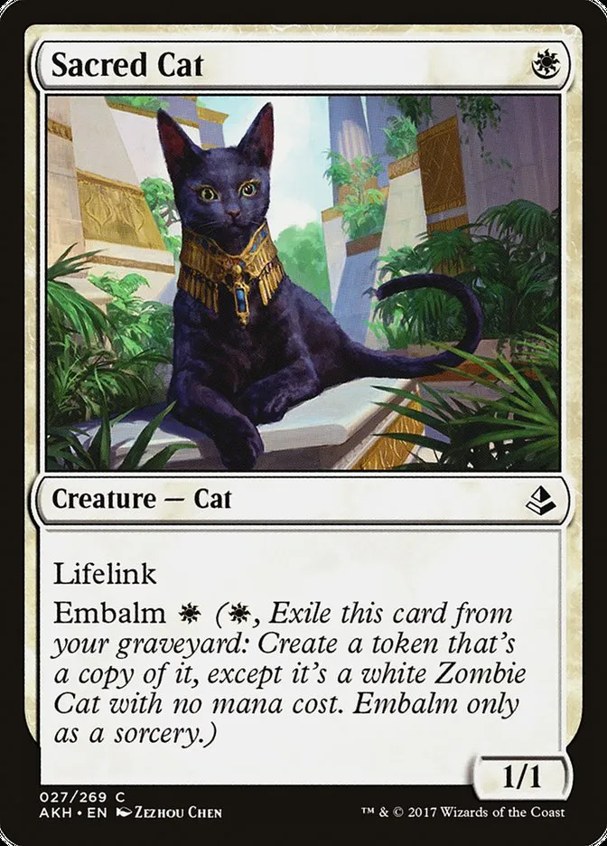 2017 Amonkhet Sacred Cat common #27 common card image