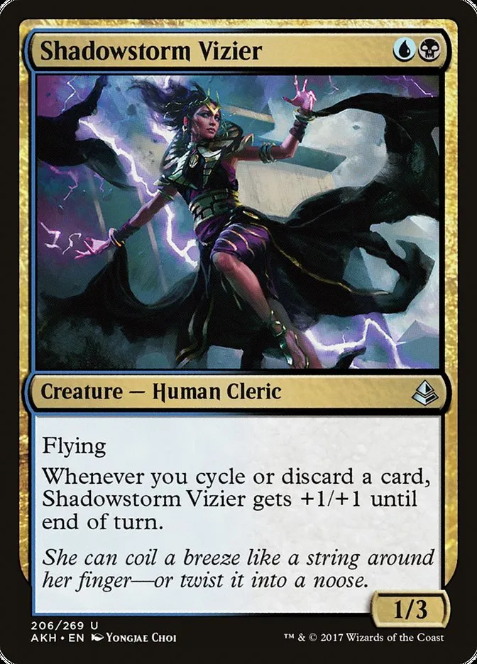 2017 Amonkhet Shadowstorm Vizier #206 uncommon card image
