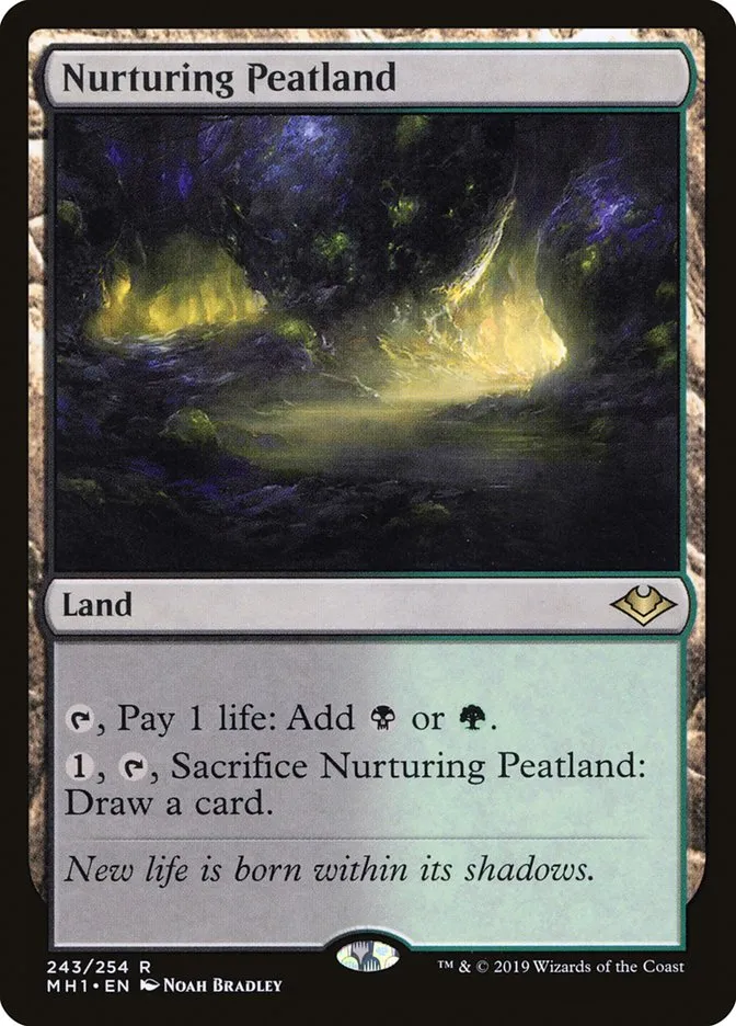2019 Modern Horizons Nurturing Peatland rare #243 unlisted card image