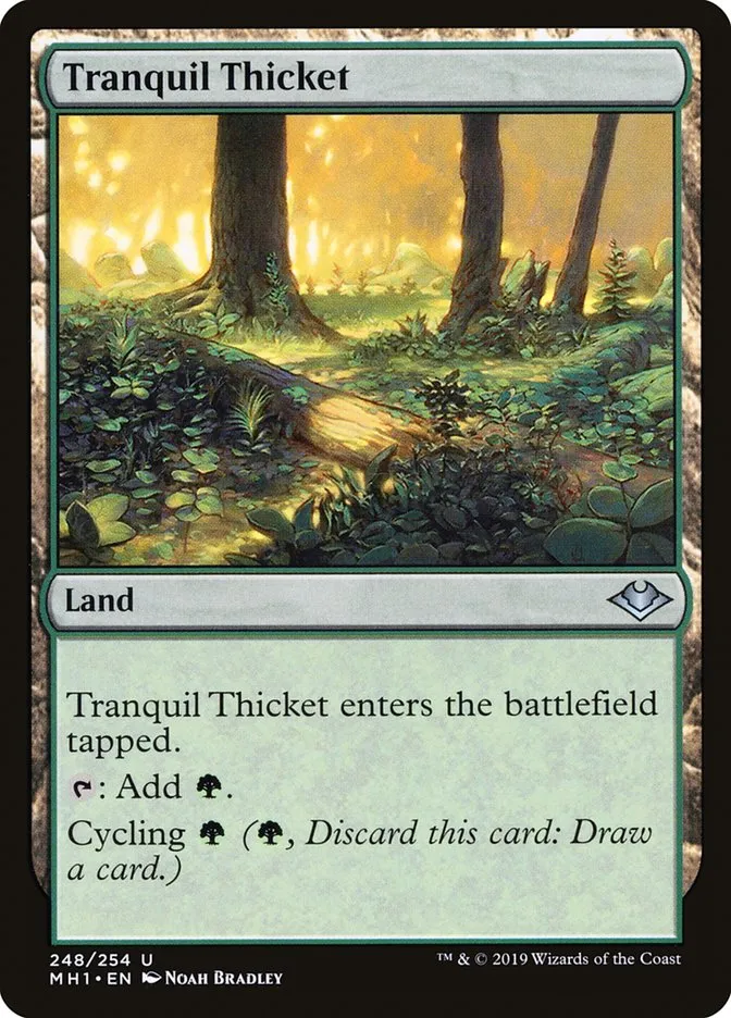 2019 Modern Horizons Tranquil Thicket uncommon #248 unlisted card image