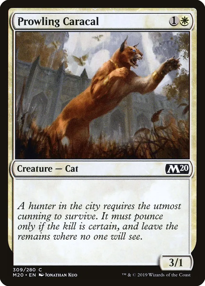 2019 Core Set 2020 Prowling Caracal common #309 common card image