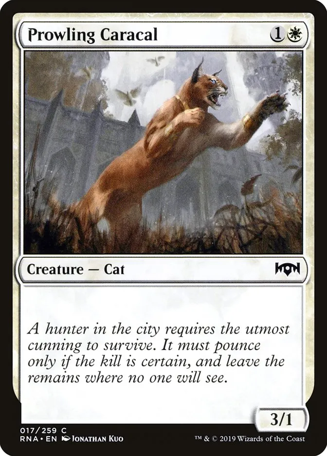 2019 Ravnica Allegiance Prowling Caracal common #17 common card image