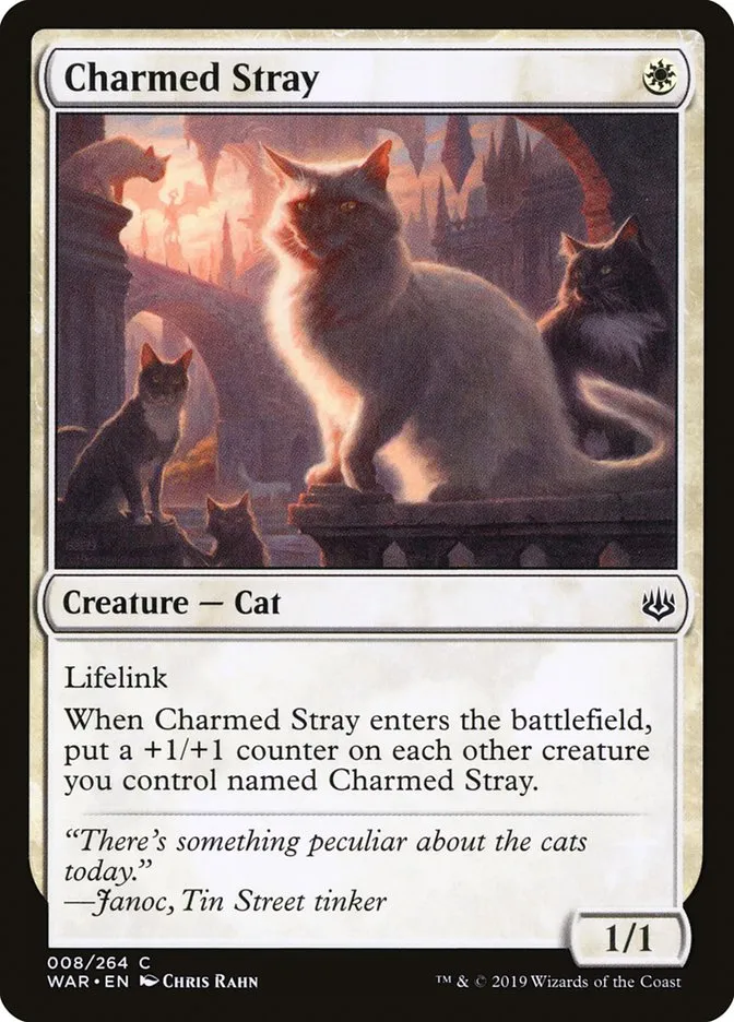 2019 War of the Spark Charmed Stray #8 common card image