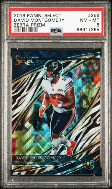 2019 Panini Select David Montgomery Zebra Prizm #256 card image