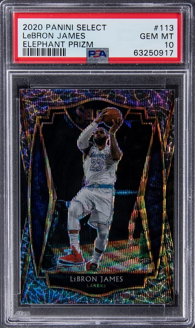 2020-21 Panini Select LeBron James Elephant Prizm #113 card image
