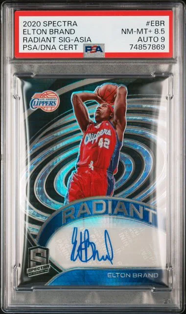 2020-21 Panini Spectra Elton Brand Radiant Signatures Asia #RSI-EBR card image